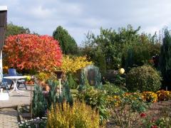 Herbst im Garten