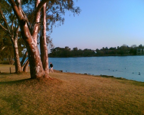 Homestead Lake - Ufer