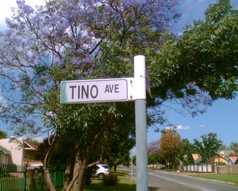 Tino Avenue ...